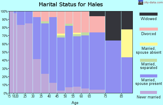 Zip code 48393 marital status for males