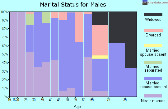 Zip code 48401 marital status for males