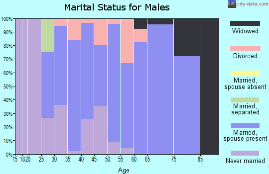 Zip code 48414 marital status for males