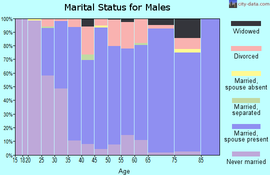 Zip code 48415 marital status for males