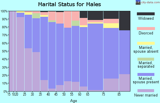 Zip code 48416 marital status for males