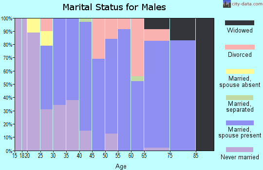 Zip code 48417 marital status for males