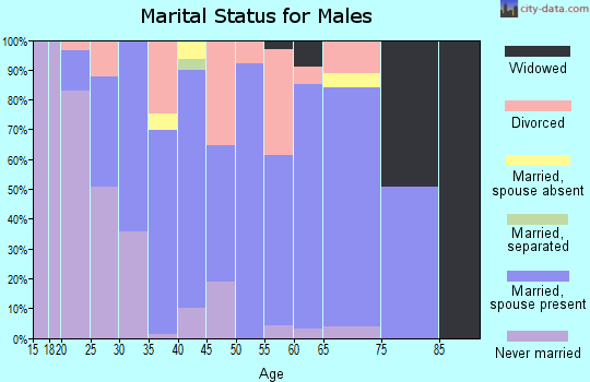 Zip code 48418 marital status for males