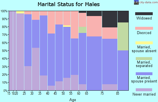 Zip code 48419 marital status for males