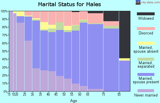 Zip code 48420 marital status for males