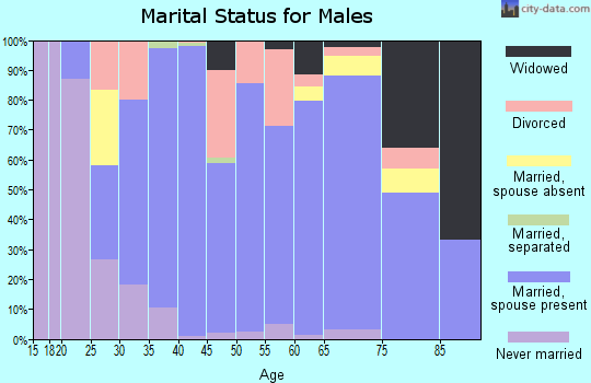 Zip code 48421 marital status for males