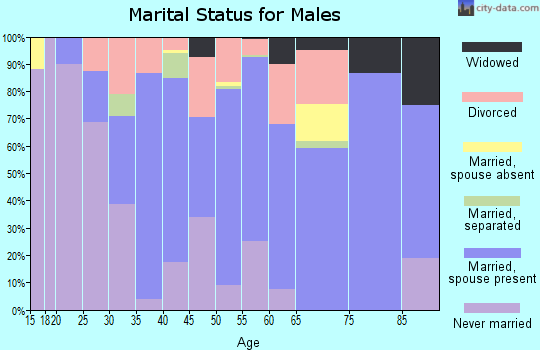 Zip code 48422 marital status for males