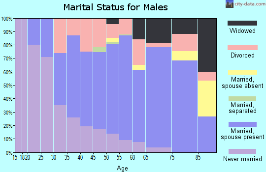 Zip code 48427 marital status for males