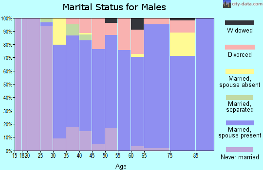Zip code 48428 marital status for males