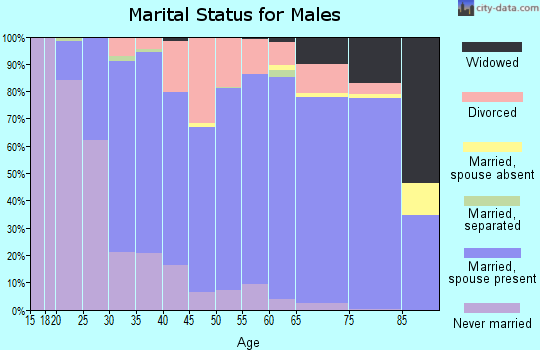 Zip code 48430 marital status for males