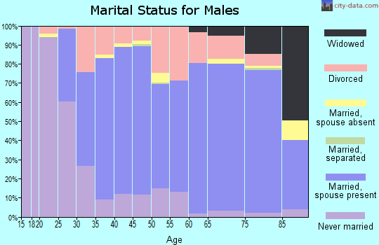 Zip code 48433 marital status for males