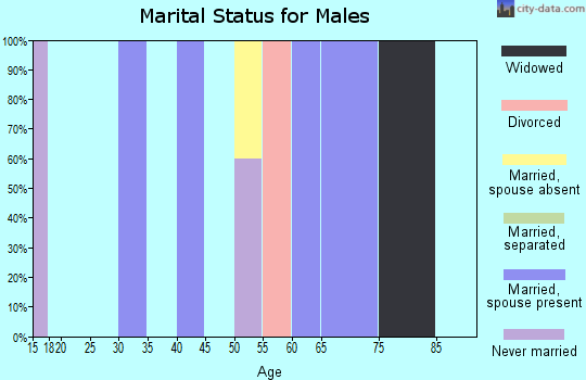 Zip code 48434 marital status for males
