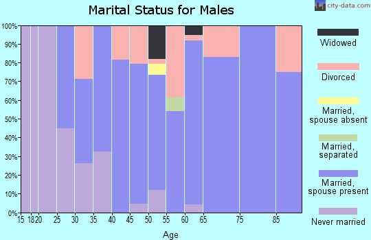 Zip code 48435 marital status for males