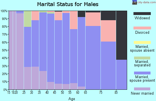 Zip code 48436 marital status for males