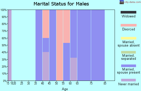 Zip code 48437 marital status for males