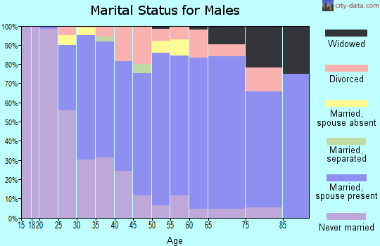 Zip code 48441 marital status for males