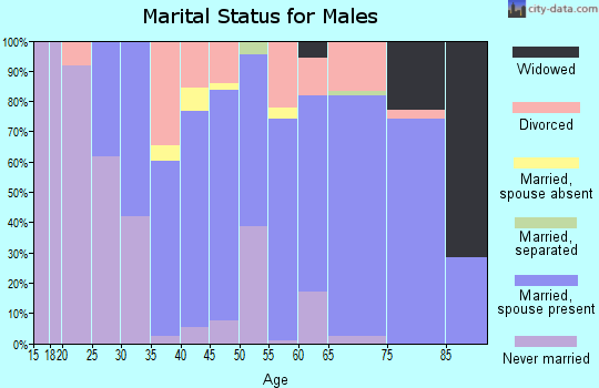 Zip code 48449 marital status for males