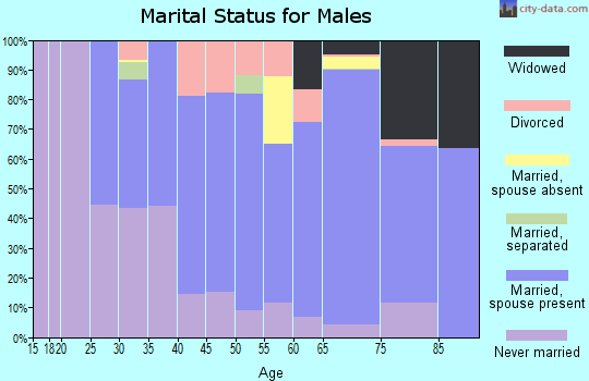 Zip code 48450 marital status for males