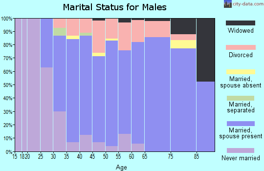 Zip code 48451 marital status for males