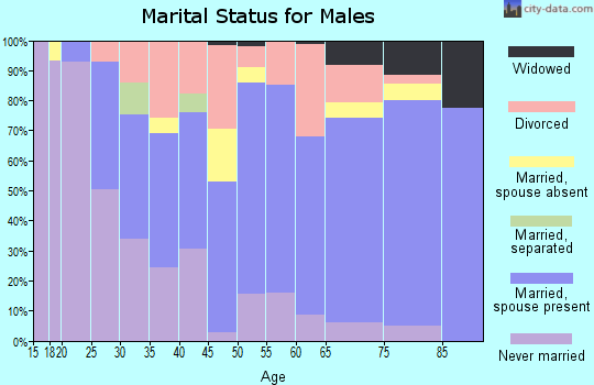 Zip code 48453 marital status for males