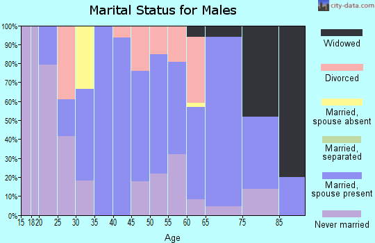 Zip code 48454 marital status for males