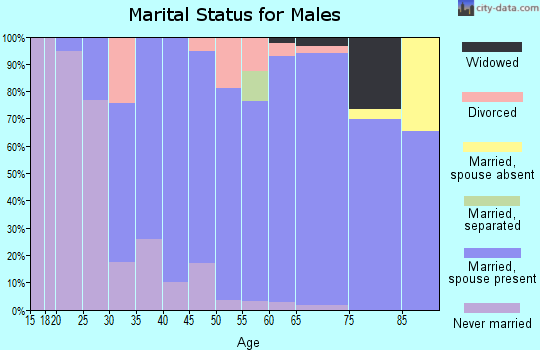 Zip code 48455 marital status for males
