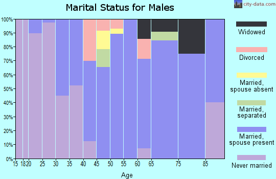 Zip code 48456 marital status for males