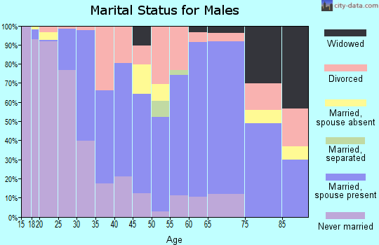 Zip code 48457 marital status for males