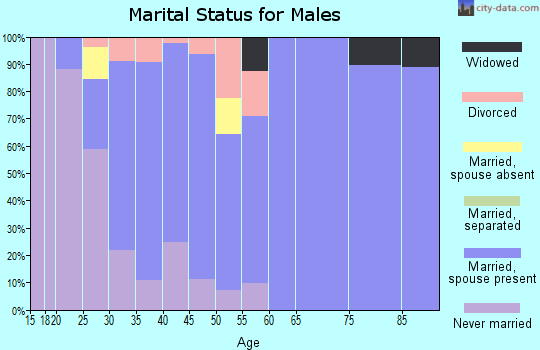 Zip code 48460 marital status for males
