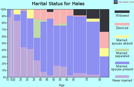 Zip code 48463 marital status for males