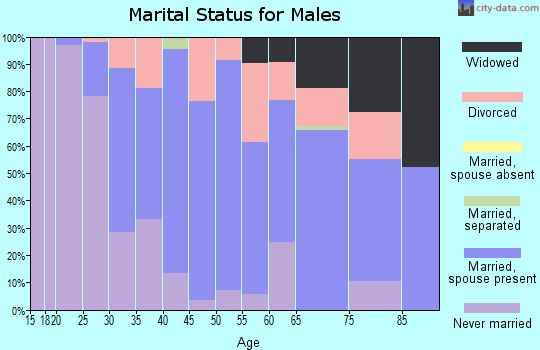 Zip code 48466 marital status for males