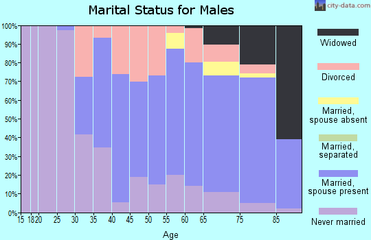 Zip code 48467 marital status for males