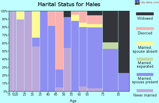 Zip code 48469 marital status for males