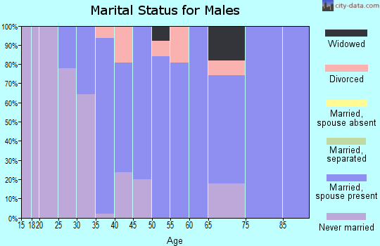 Zip code 48470 marital status for males