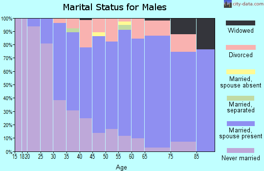 Zip code 48475 marital status for males