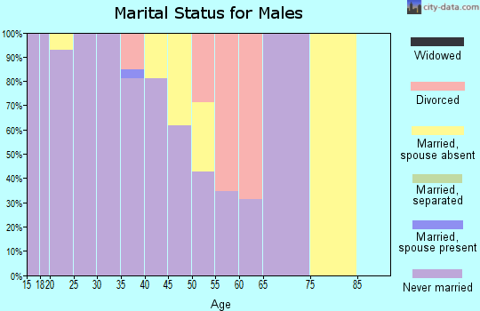 Zip code 48502 marital status for males