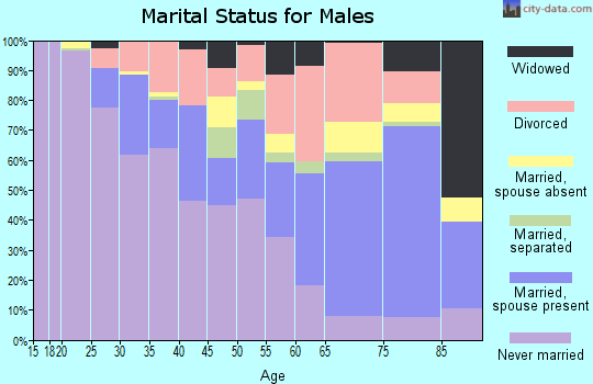 Zip code 48505 marital status for males