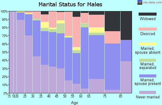 Zip code 48507 marital status for males