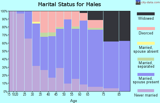 Zip code 48509 marital status for males