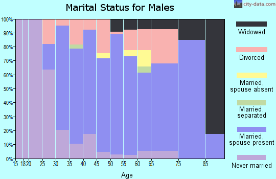 Zip code 48519 marital status for males
