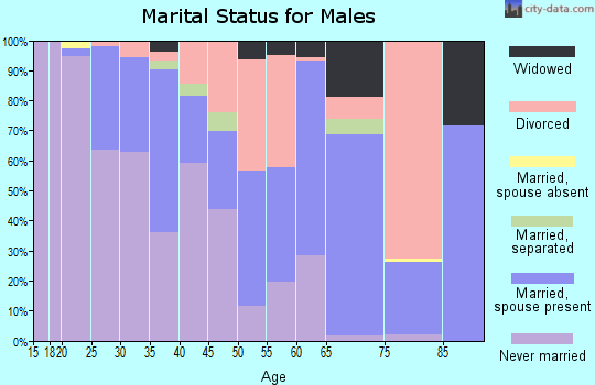 Zip code 48529 marital status for males