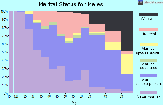 Zip code 48602 marital status for males