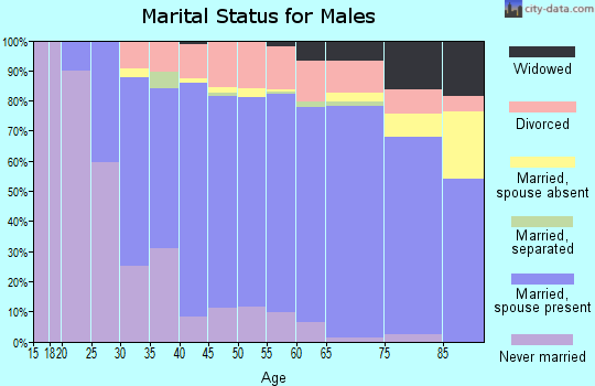 Zip code 48603 marital status for males