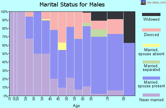 Zip code 48604 marital status for males