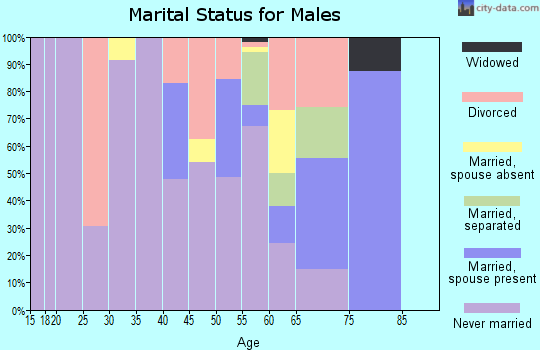 Zip code 48607 marital status for males