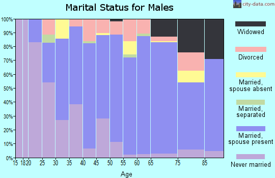 Zip code 48609 marital status for males