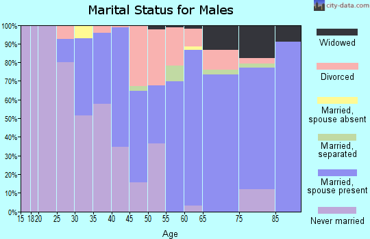 Zip code 48610 marital status for males