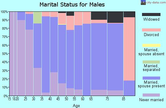 Zip code 48611 marital status for males