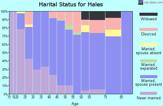 Zip code 48615 marital status for males