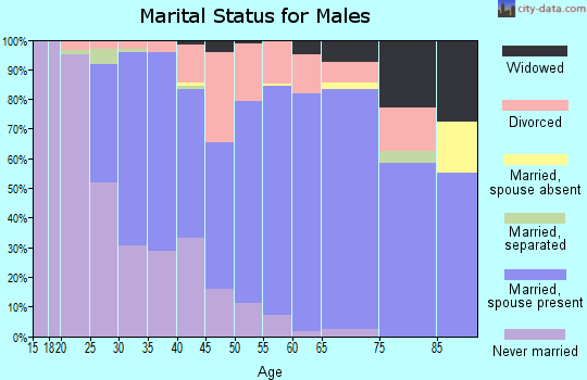 Zip code 48617 marital status for males
